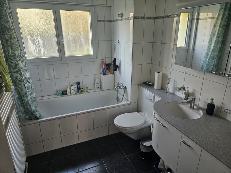 Room in a shared flat, 8302 Kloten (9)