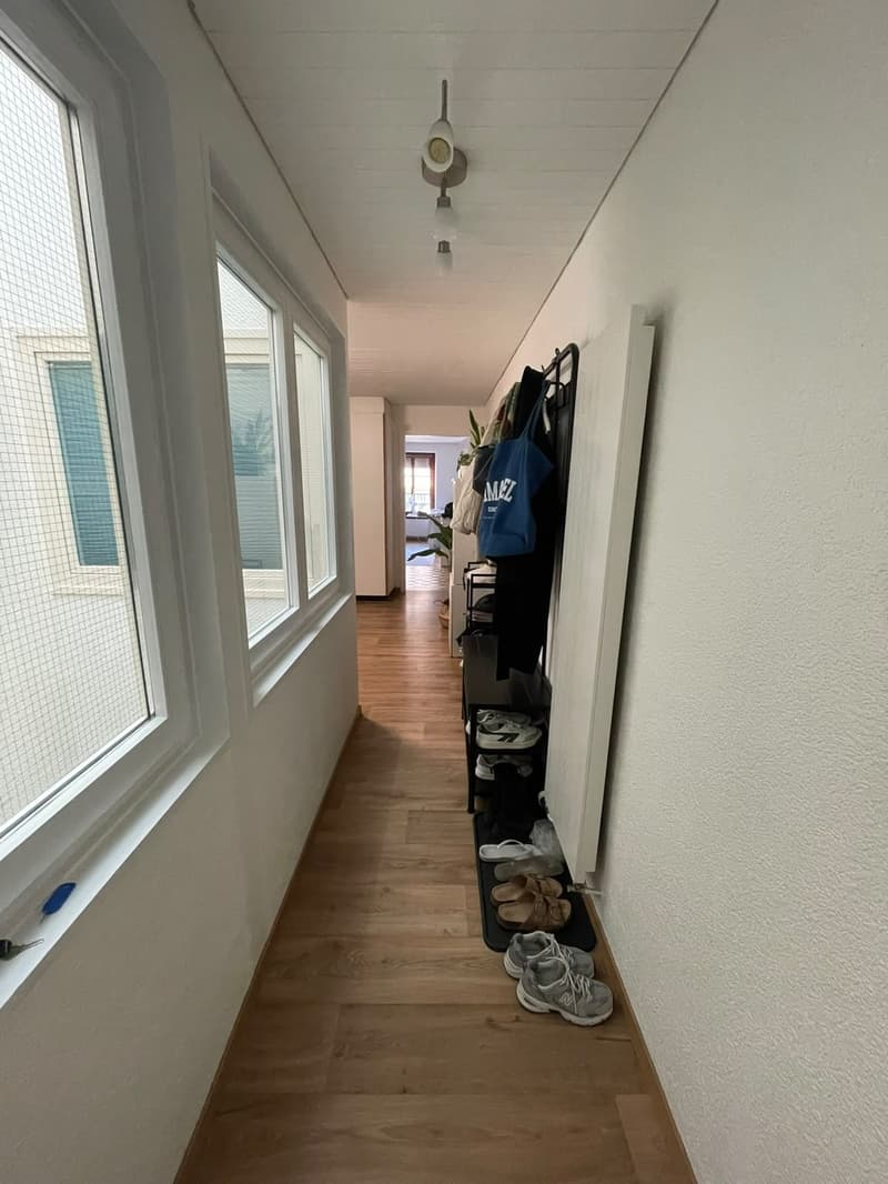 Helle 1.5-Zimmer-Wohnung an super Lage, ideal für PendlerInnen und Studierende (5)