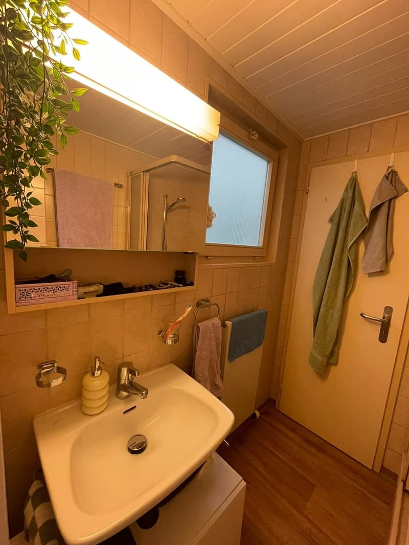 Helle 1.5-Zimmer-Wohnung an super Lage, ideal für PendlerInnen und Studierende (3)