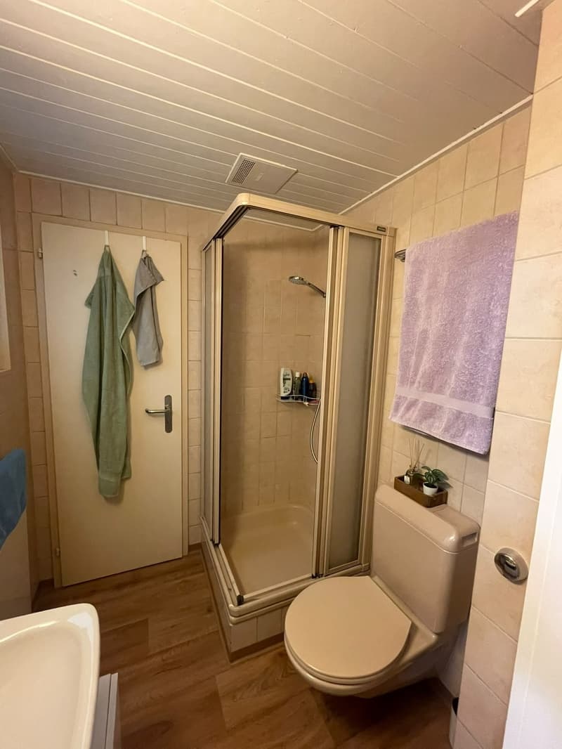 Helle 1.5-Zimmer-Wohnung an super Lage, ideal für PendlerInnen und Studierende (2)