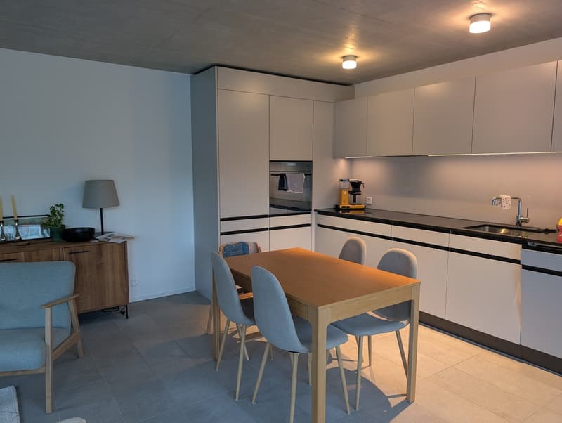 3 ½ Zimmer-Wohnung, 8045 Zürich (8)