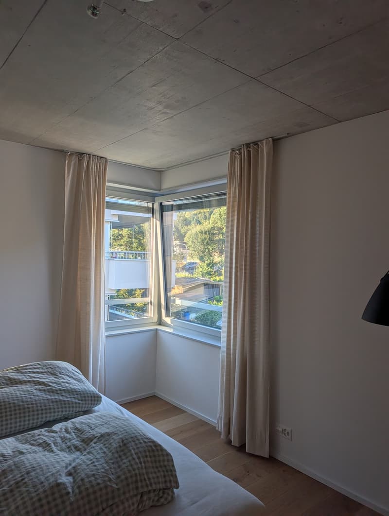 3 ½ Zimmer-Wohnung, 8045 Zürich (4)