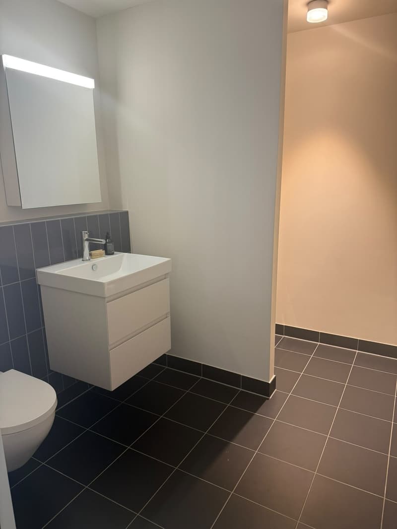 3 ½ Zimmer-Wohnung, 8045 Zürich (6)