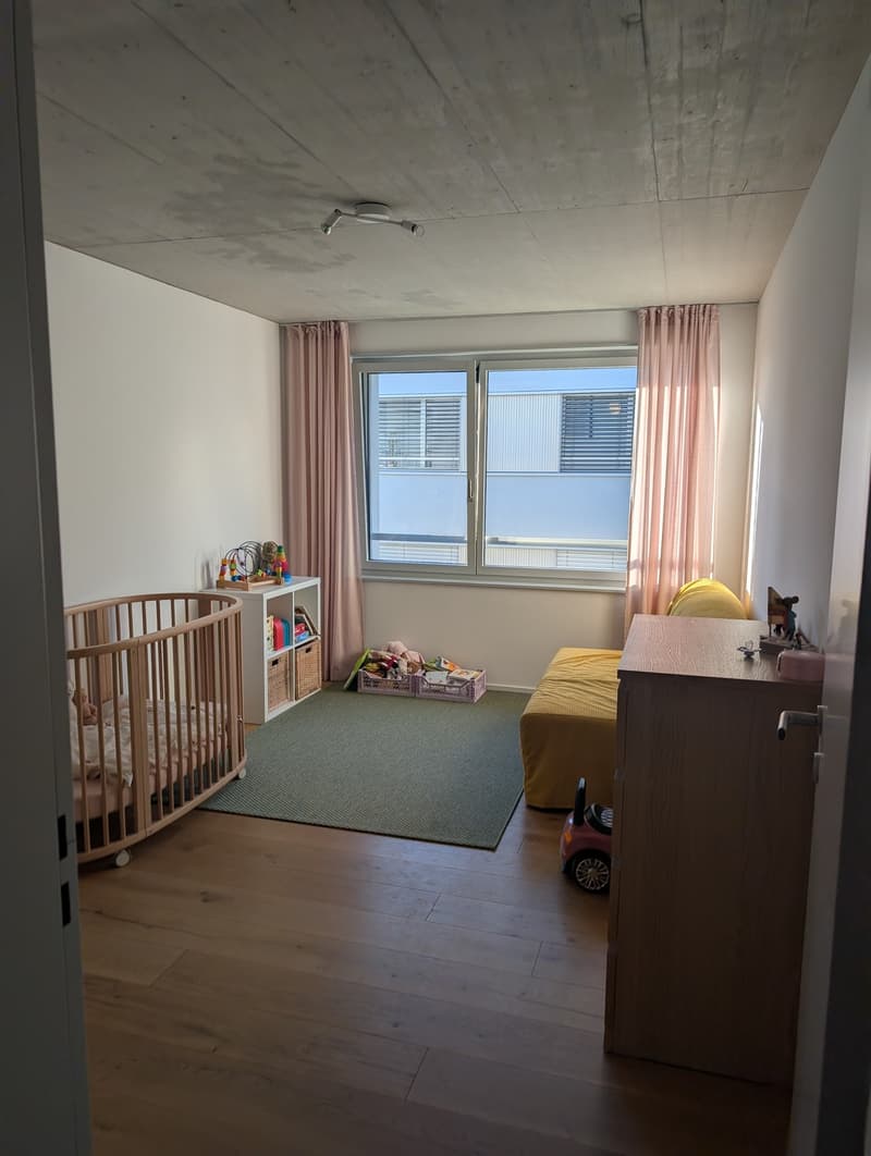 3 ½ Zimmer-Wohnung, 8045 Zürich (3)
