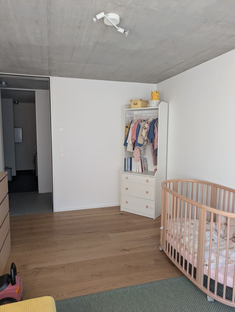 3 ½ Zimmer-Wohnung, 8045 Zürich (12)