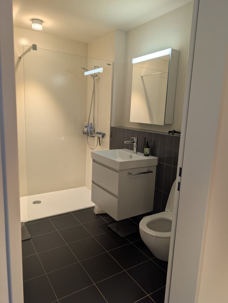3 ½ Zimmer-Wohnung, 8045 Zürich (9)