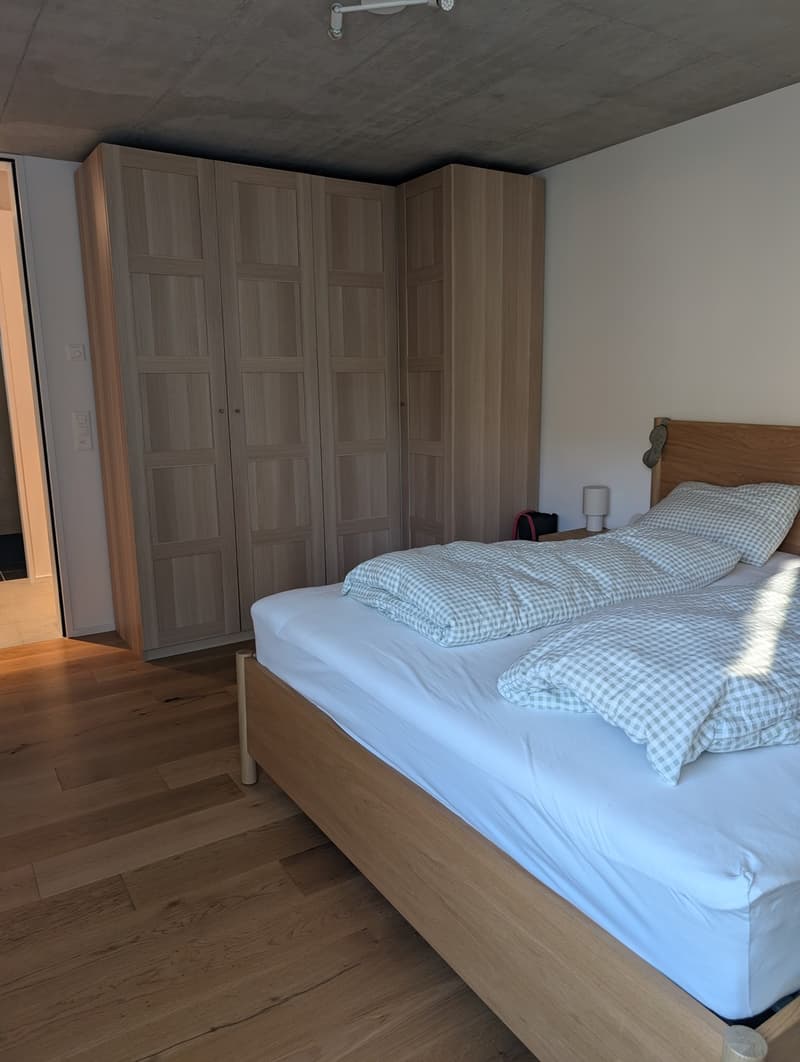 3 ½ Zimmer-Wohnung, 8045 Zürich (13)