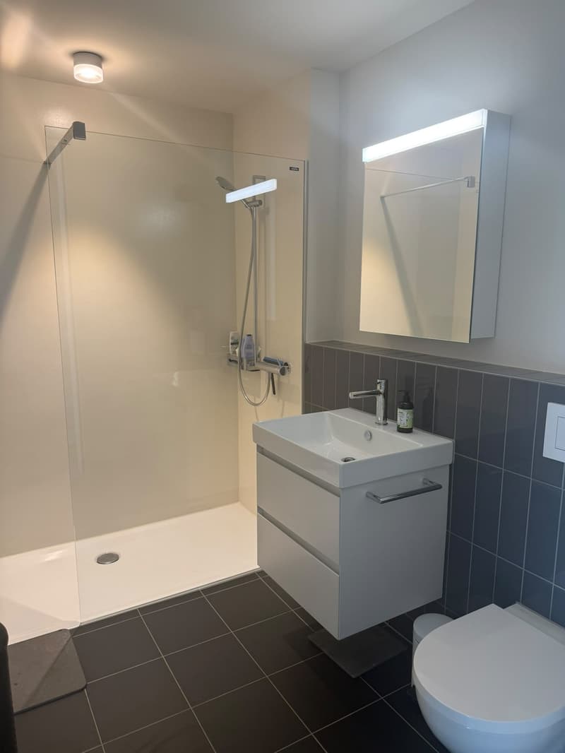 3 ½ Zimmer-Wohnung, 8045 Zürich (5)
