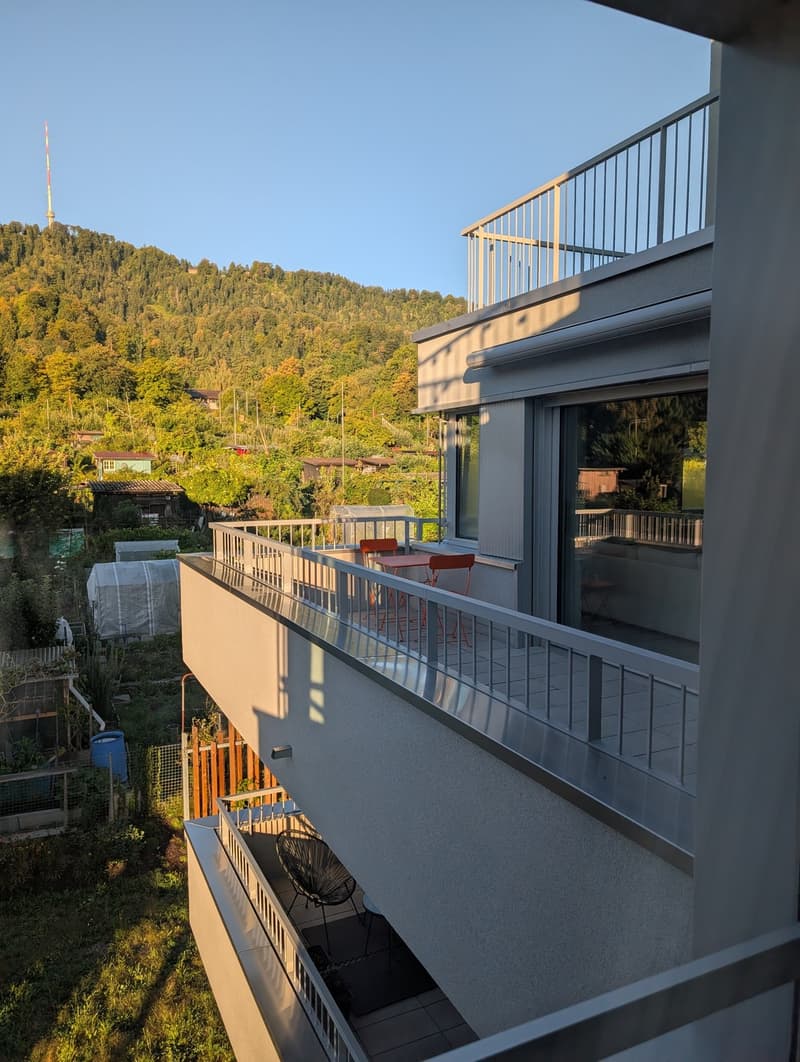 3 ½ Zimmer-Wohnung, 8045 Zürich (10)