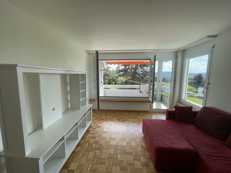 Shared flat in Zurich (2)