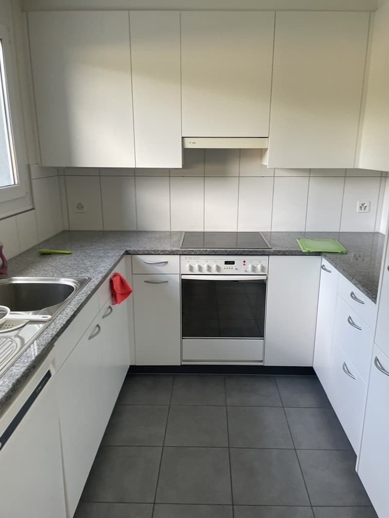 Shared flat in Zurich (3)
