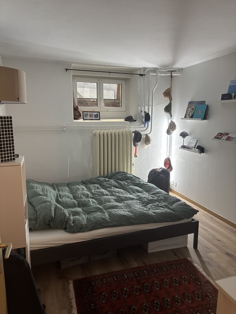 Grosse 5.5-Zimmer-Wohnung an bester Lage 10 Min. zu Fuss zum HB (4)