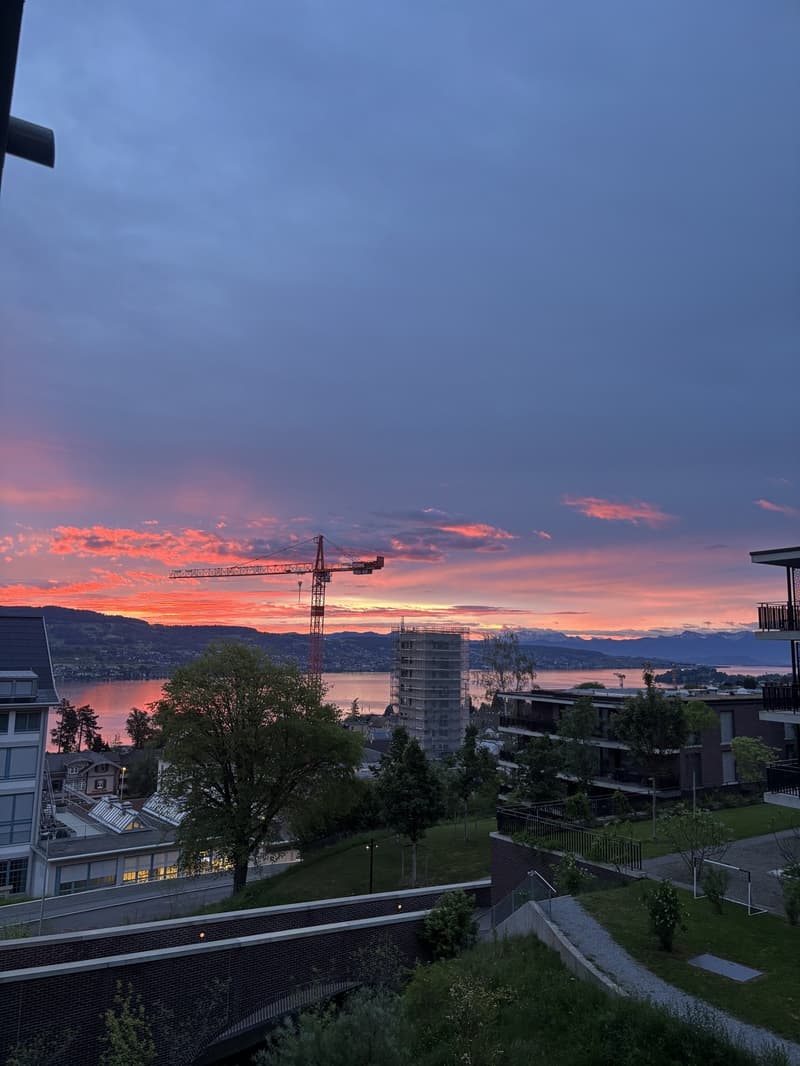 Möbilierte 2.5 Zimmer Wohnung in Horgen BEFRISTET (2)