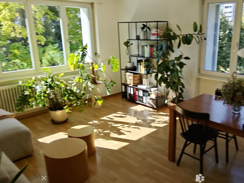 Helles, gemütliches und möblierters Zuhause zur Zwischenmiete (31.10.12.12.2026) (2)