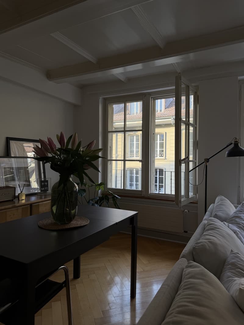 Charmante Altbauwohnung mitten im Herzen von Bern (12)