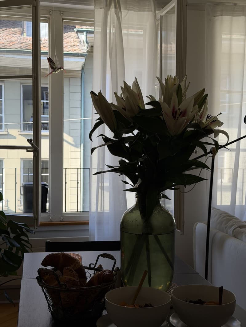 Charmante Altbauwohnung mitten im Herzen von Bern (7)
