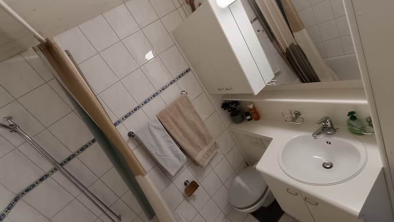 2.5-Zimmer-Wohnung in Burgdorf zur Untermiete (5)