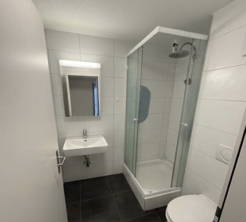 Helle und schöne Wohnung in 3270 Aarberg (4)