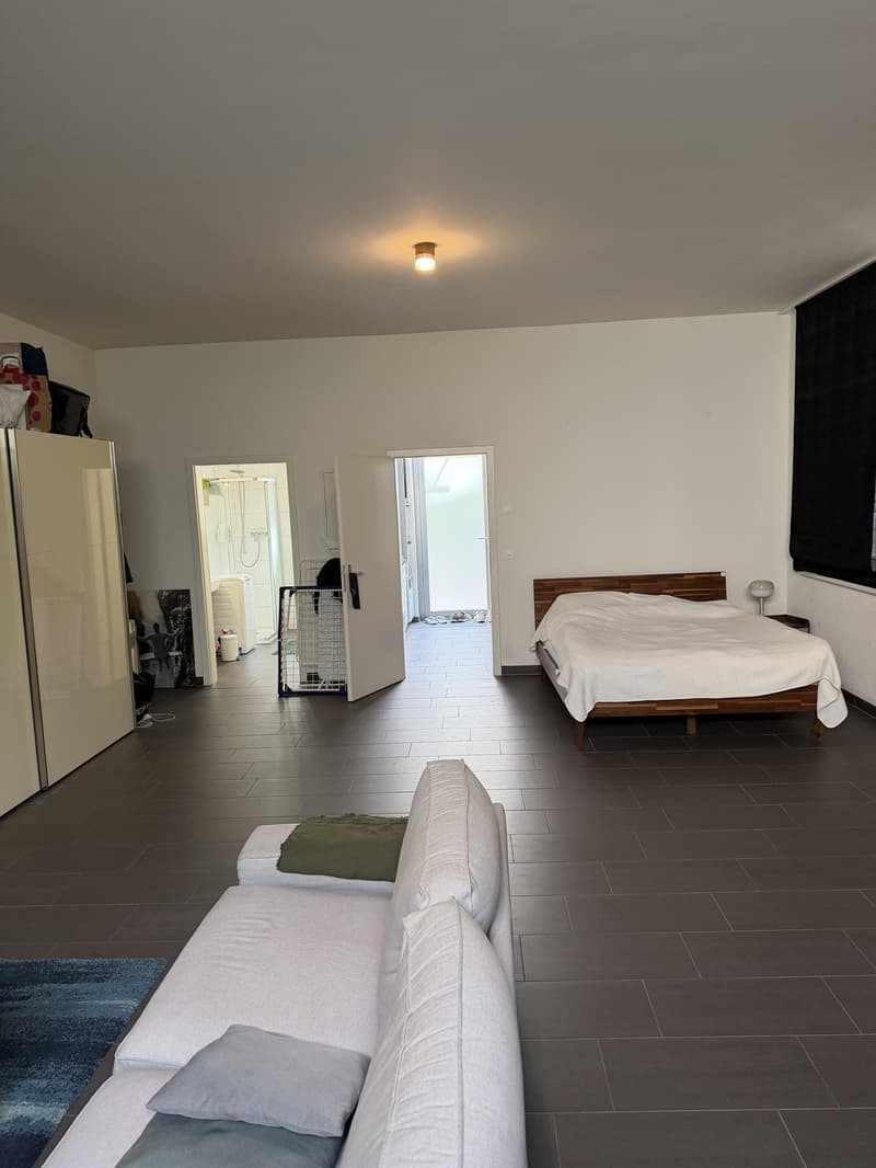 Large ground floor apartment in Wiedikon (2)