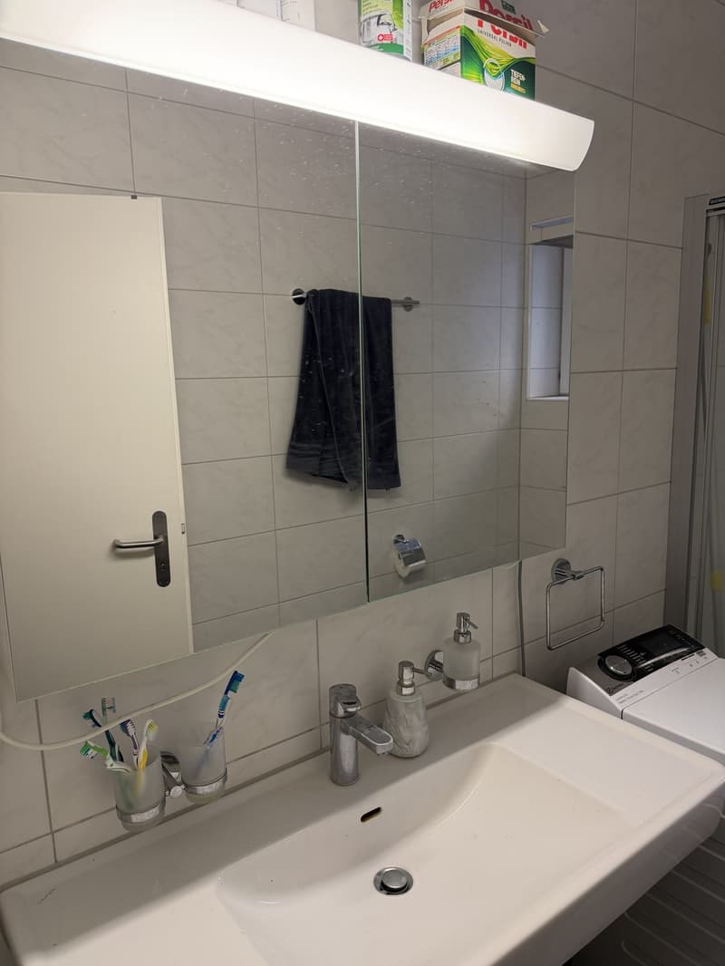 Large ground floor apartment in Wiedikon (7)