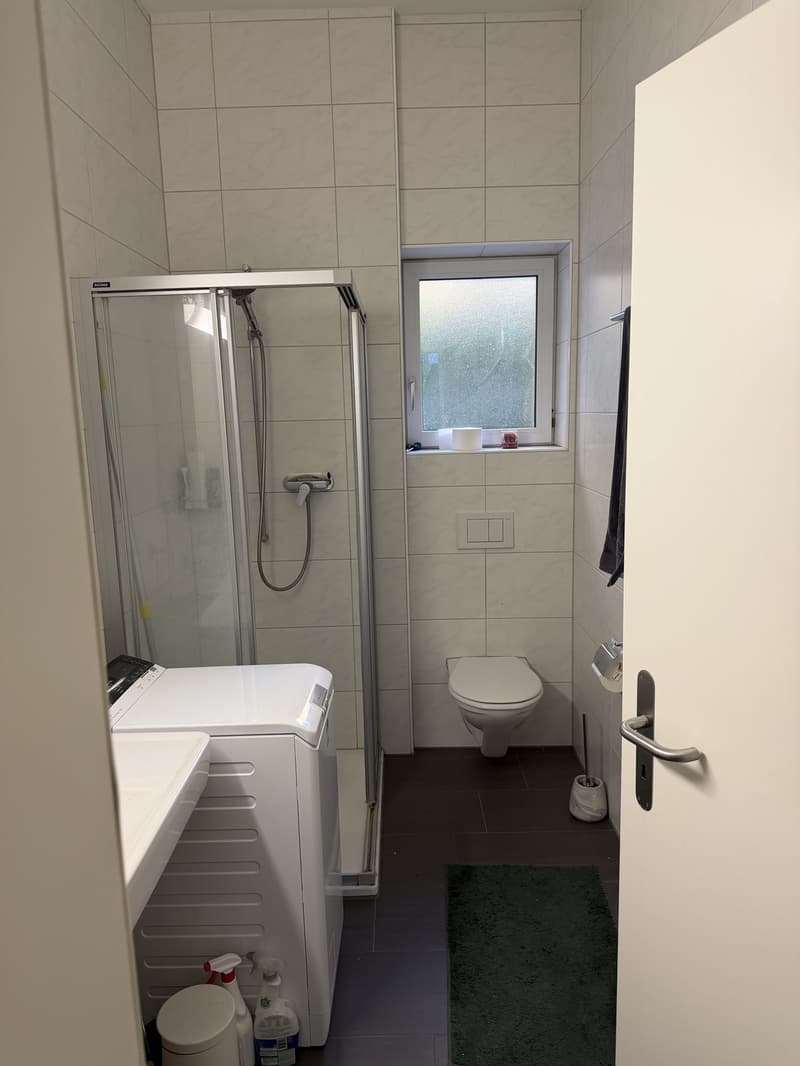 Large ground floor apartment in Wiedikon (6)