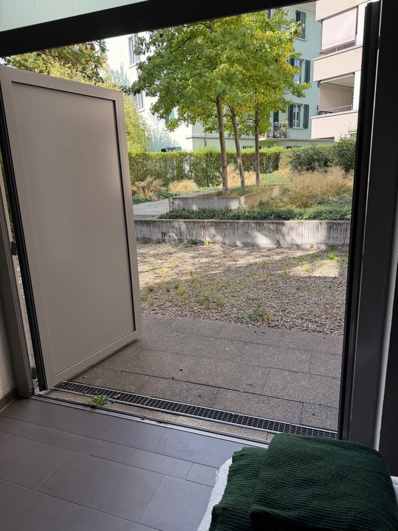 Large ground floor apartment in Wiedikon (3)