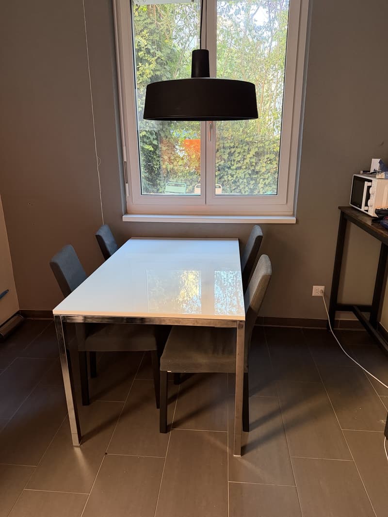 Large ground floor apartment in Wiedikon (5)