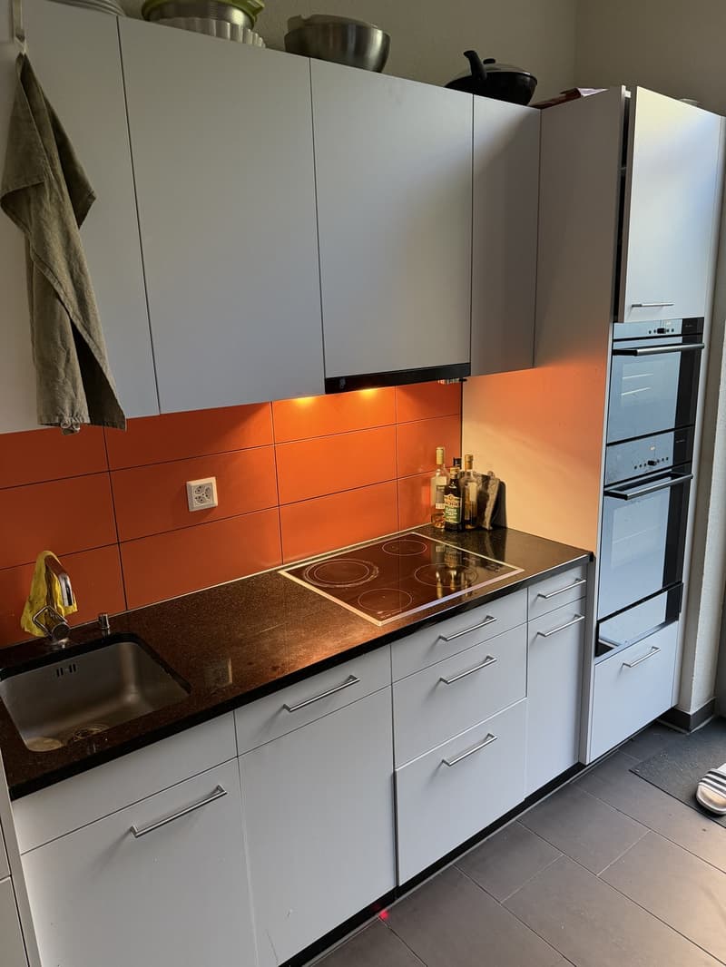Large ground floor apartment in Wiedikon (4)