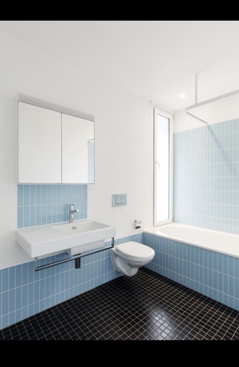 3 ½ Zimmer-Wohnung, 8636 Wald ZH (5)