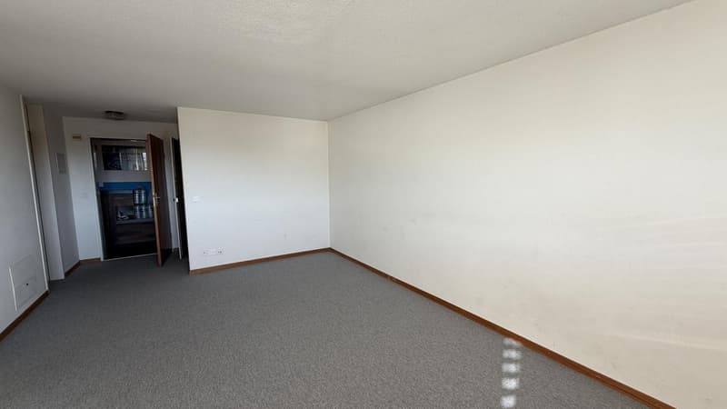 1 ½ Zimmer-Wohnung, 4802 Strengelbach (2)