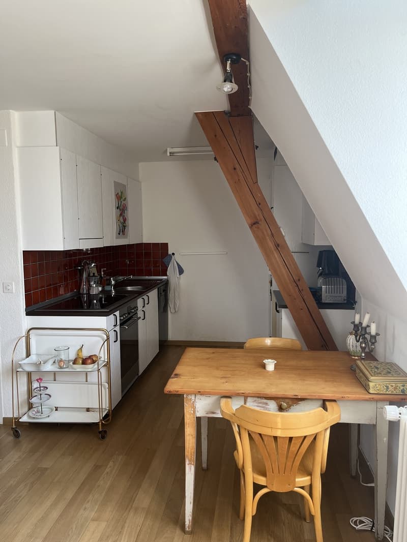 Untermiete: Helle und möblierte 1-Zimmerwohnung in der Länggasse, Bern (3)