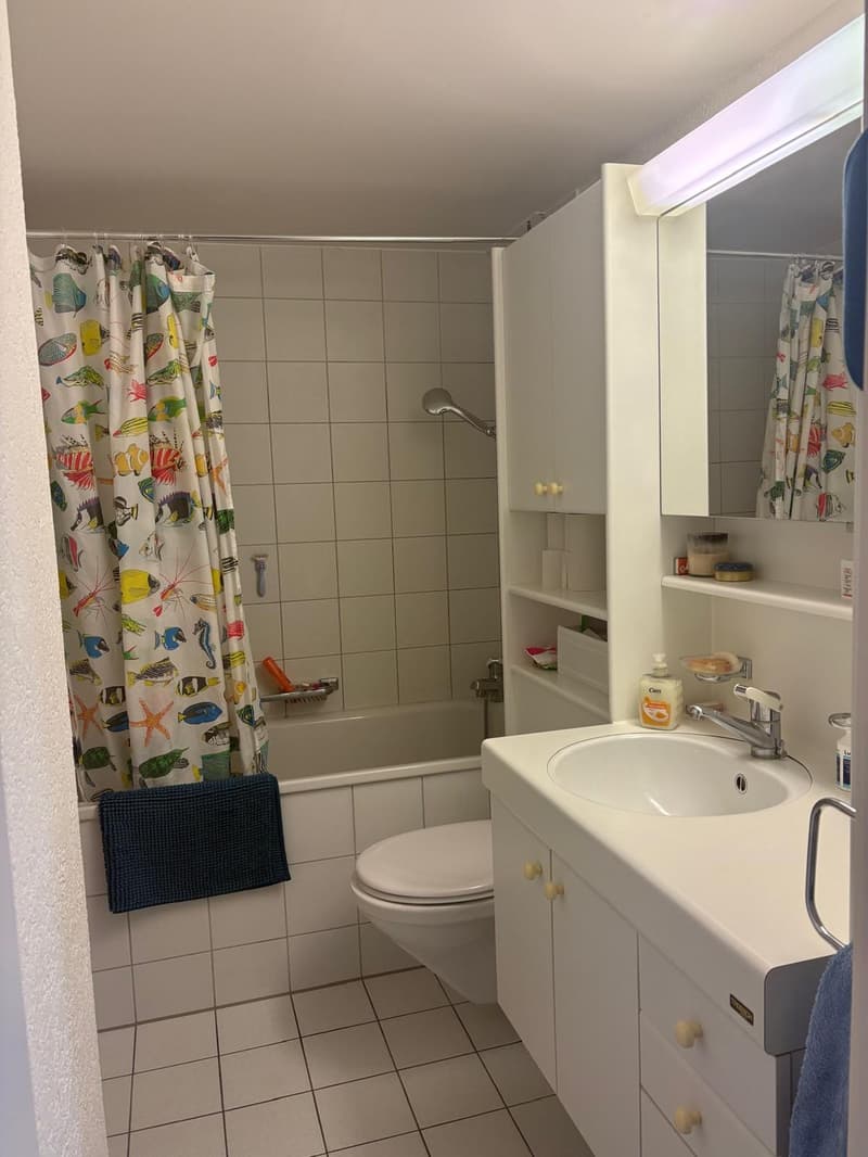 WG-Zimmer zur Untermiete in Bern Holligen (November bis Januar/Februar) (6)