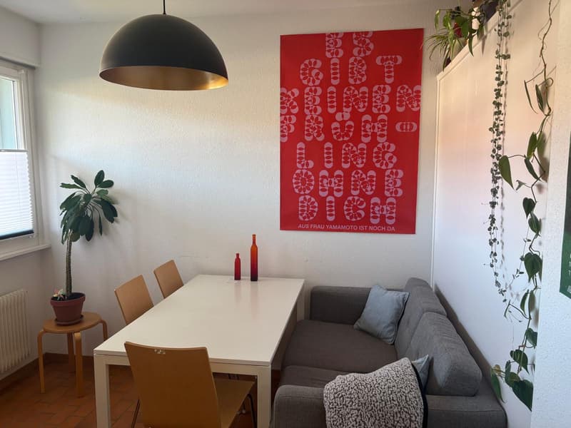 WG-Zimmer zur Untermiete in Bern Holligen (November bis Januar/Februar) (4)