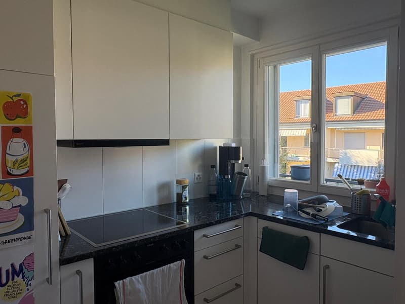 WG-Zimmer zur Untermiete in Bern Holligen (November bis Januar/Februar) (5)