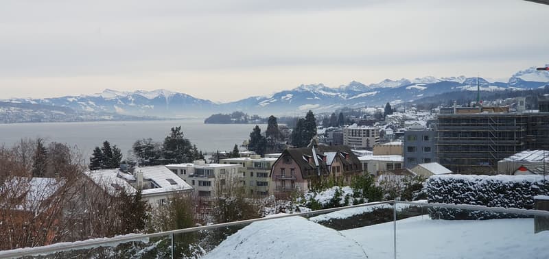 Stunning lake & mountain views  modern 2.5-room smart-home apartment in Horgen | available 1 Nov 2026 (2)