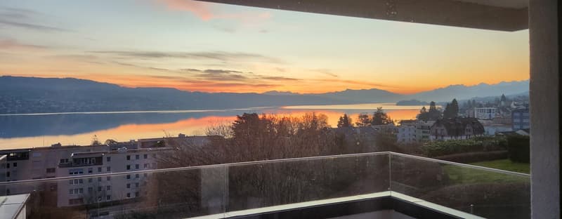 Stunning lake & mountain views  modern 2.5-room smart-home apartment in Horgen | available 1 Nov 2026 (7)