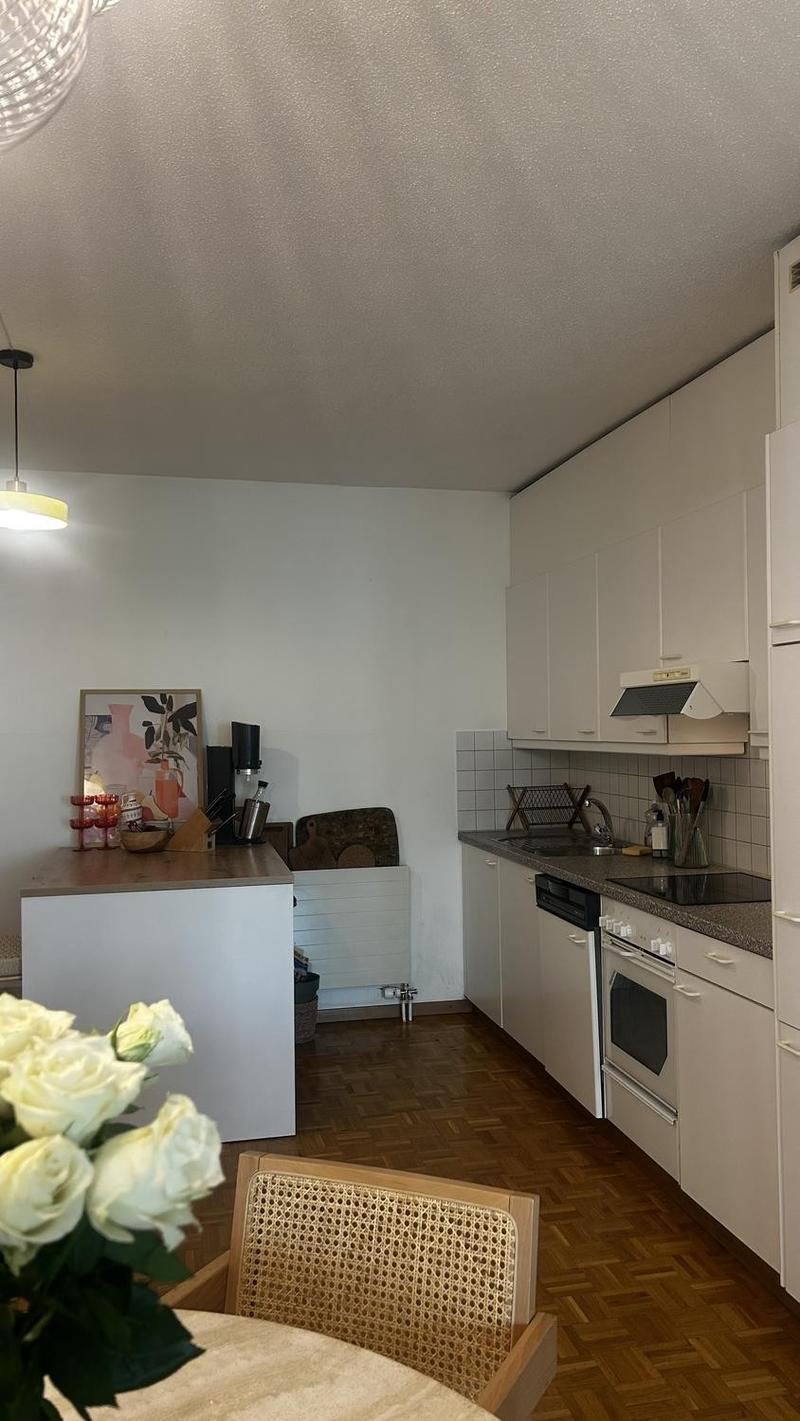 2.5 room flat by Letten, fixed-term until March 2027 (6)