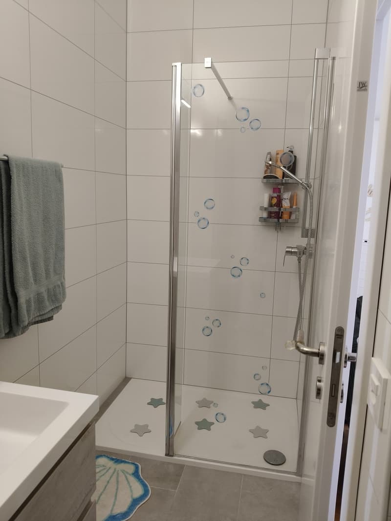 Appartement 3 ½ pièces, 1036 sullens (12)