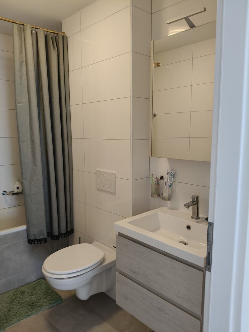 Appartement 3 ½ pièces, 1036 sullens (3)