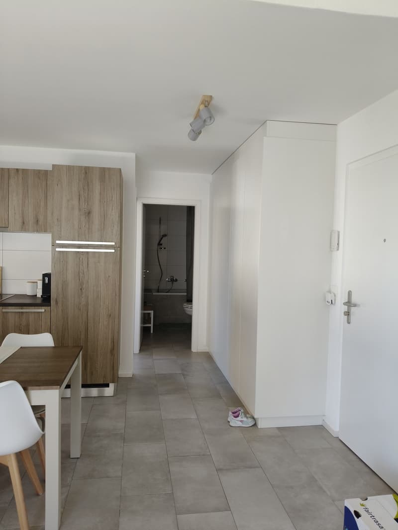 Appartement 3 ½ pièces, 1036 sullens (4)