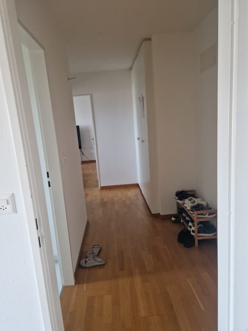 Sonnige 2.5-Zimmer-Wohnung mit Balkon in 8617 Mönchaltorf (3)