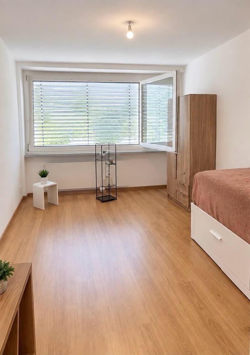 1 Zimmer-Wohnung, 4055 Basel (3)