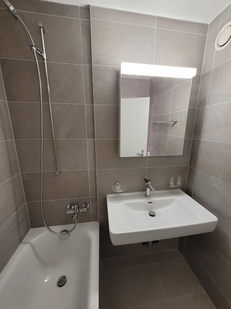 Renovierte 3-Zimmer-Wohnung mit Balkon (3)