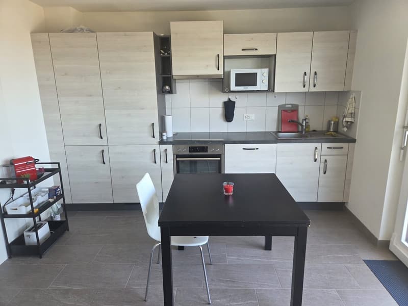 Studio moderne de 28 m² à Crissier, proche de Renens  Disponible dès le 1er décembre" (13)