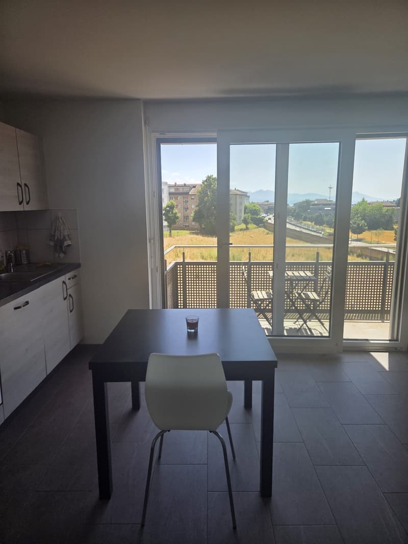 Studio moderne de 28 m² à Crissier, proche de Renens  Disponible dès le 1er décembre" (6)