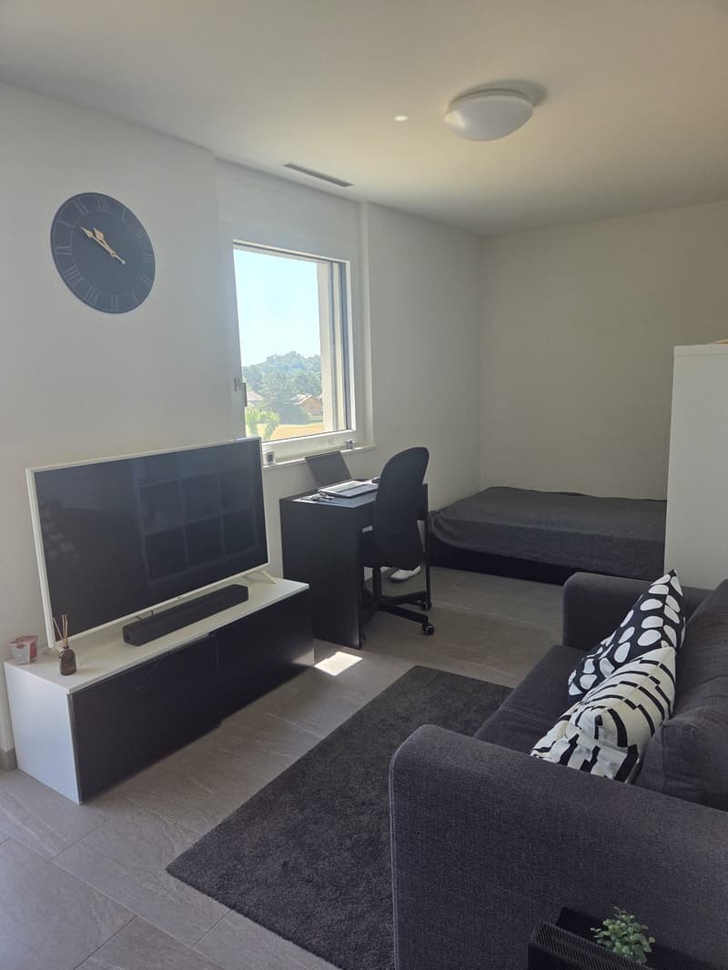 Studio moderne de 28 m² à Crissier, proche de Renens  Disponible dès le 1er décembre" (3)