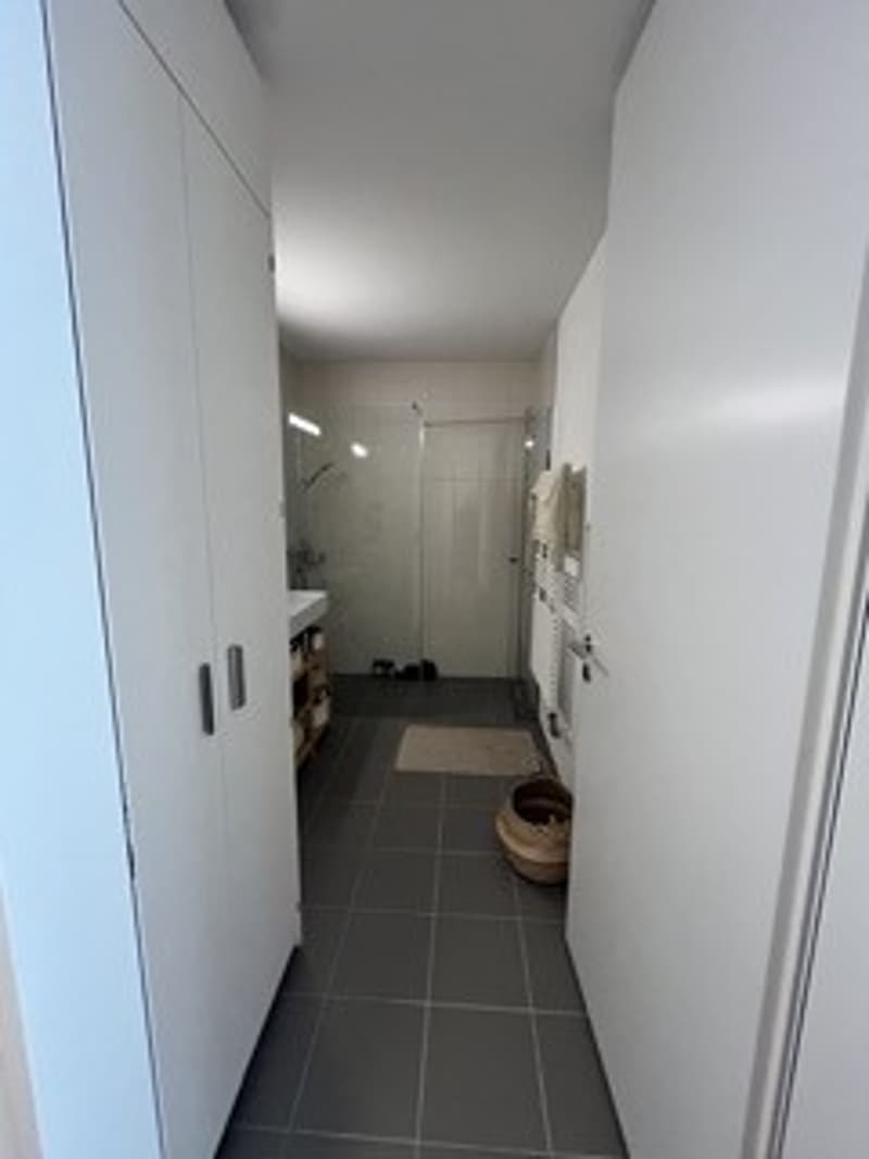 Rent a 1.5 room apartment in Wiedikon (3)