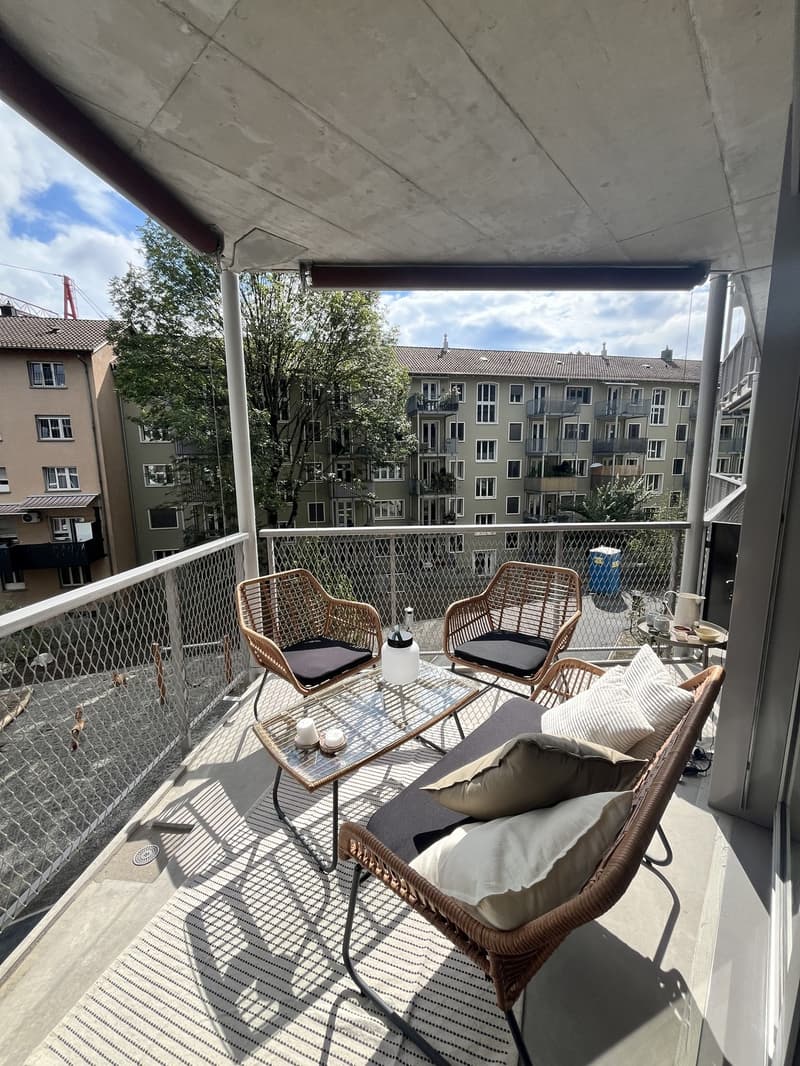 Rent a 1.5 room apartment in Wiedikon (8)