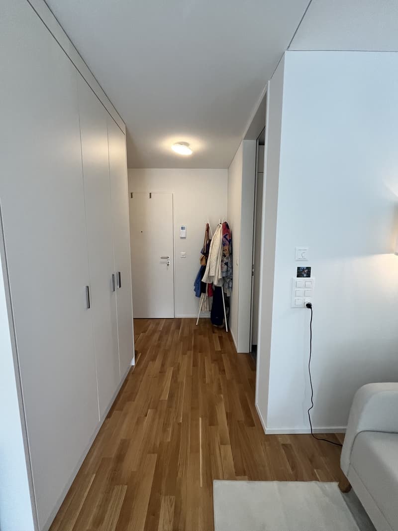 Rent a 1.5 room apartment in Wiedikon (7)