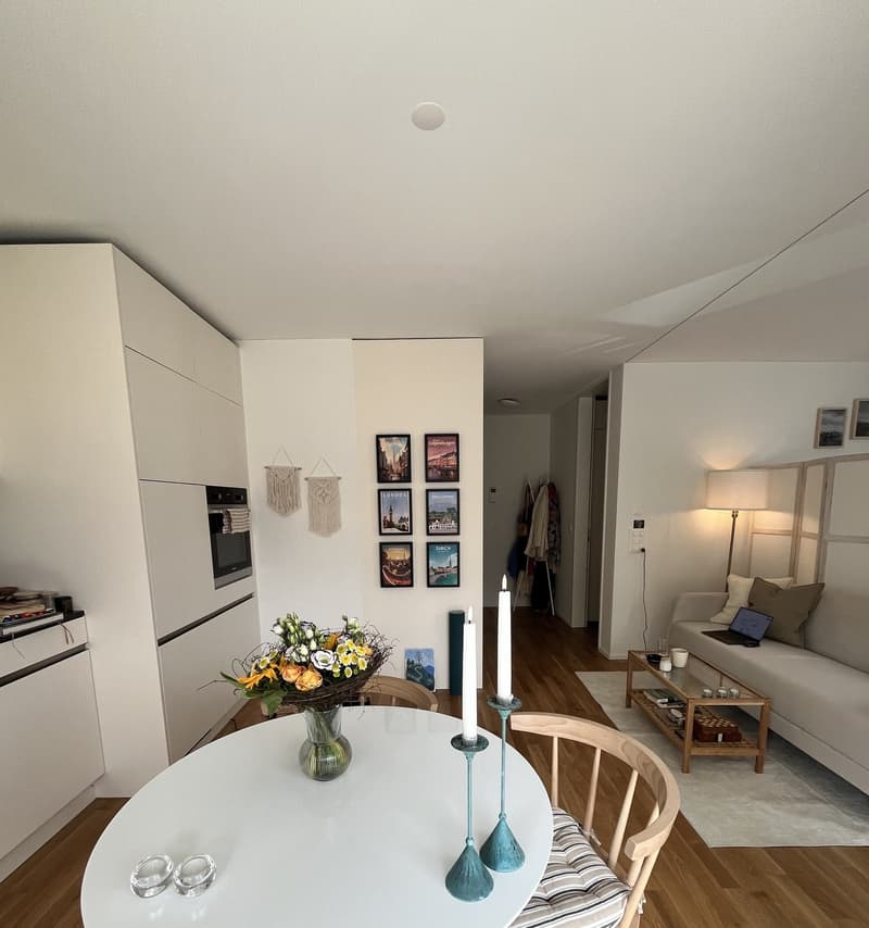 Rent a 1.5 room apartment in Wiedikon (1)